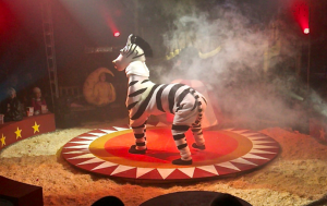 The only 'animal' in this circus is Zelda the cloth zebra!