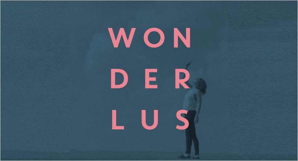 Wonderlus