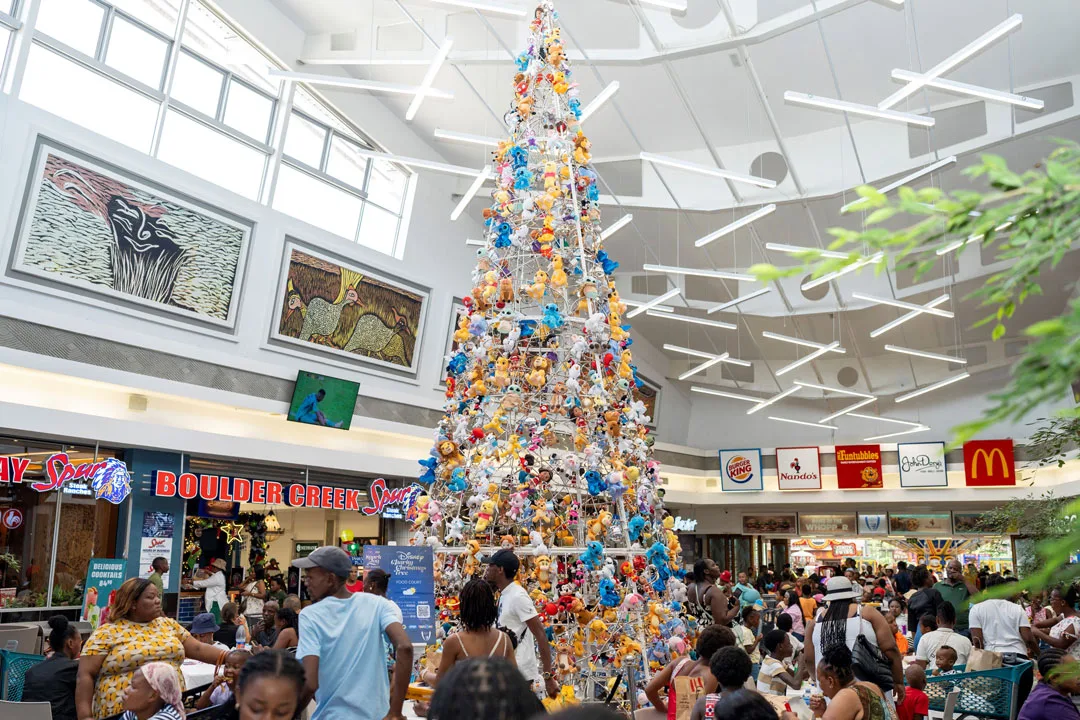 Midlands Mall Festive Artspace 2025